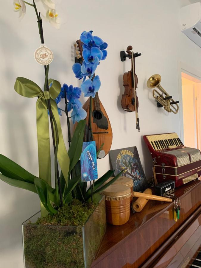 Music House Palinuro Bed & Breakfast Bagian luar foto